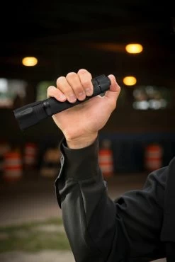 ASP Products 35674Raptor DF Flashlight 12 ASP Products 35674Raptor DF Flashlight -Outdoor Lighting Store asp products 35674 raptor df flashlight raptordf 62372.1621989374