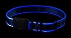 Nite Ize NiteDog Rechargeable LED Collar -Outdoor Lighting Store nite ize nitedog rechargeable led collar ndcr 11037.1616660159