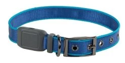 Nite Ize NiteDog Rechargeable LED Collar -Outdoor Lighting Store nite ize nitedog rechargeable led collar ndcr 46592.1616660134